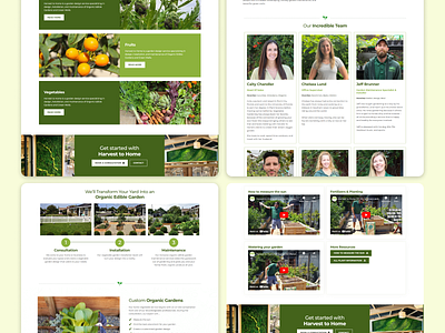 Hamse Home Website Design fruits greeen green mango vegetables website