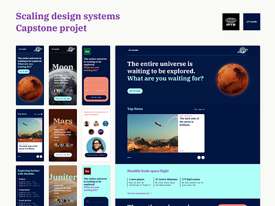Dribbble Course: Scaling Design Systems Capstone Project. design design systems product design