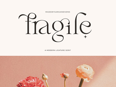 Fragile - Modern Serif