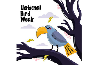 Australian National Bird Week Illustration animal aussie australia bird celebration day event fly illustration national nature vector