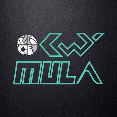 OkwyMula logo design graphic design logo ux
