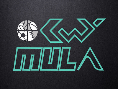 OkwyMula logo design graphic design logo ux