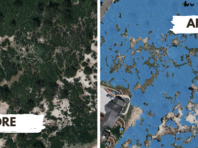 Tree Detection | Vegetation | Tree Segmentation itsmeshohan labelbox segmentation