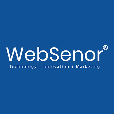 Hire Website Developers in India udaipur websenor websitedeveloper