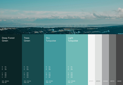 Windly - Branding blue brand colors color colors dark green green identity renevable turquoise ui