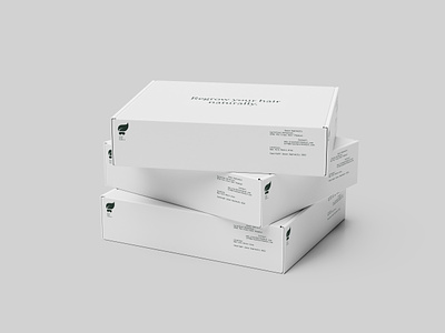 Crazy Hair Chemist - Branding box box design boxes design package packaging packaging design stacked