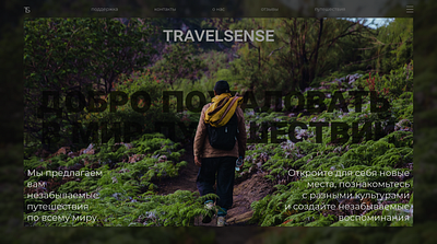 travelsense design graphic design