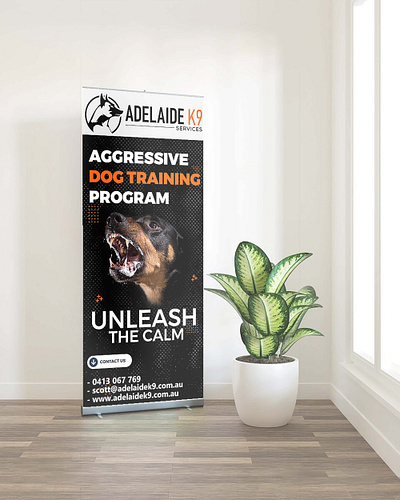 Aggressive Dog Training Program 3d animation branding graphic design logo motion graphics ui