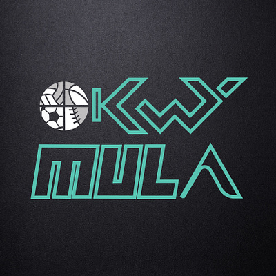 Okwy Mula logo design graphic design logo ui vector