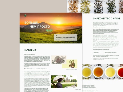 Longread about tea concept design longread ui ux