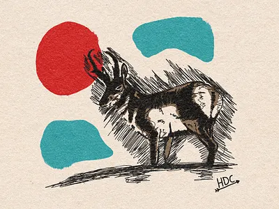 Pronghorn Illustration abstract illustration minimal nature outdoors pronghorn retro scribble sketch sky sun