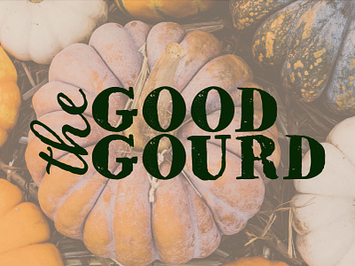 The Good Gourd Logo & Branding Design Project adobe illustrator adobe photoshop brand identity branding branding design design graphic design illustration logo logo design typography ui ui design ux ux design vector visual identity design web design