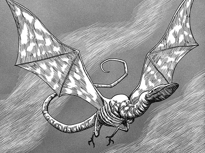 Drake black and white bnw character creature creature design detailing digital drake illustration lineart monochrome monster monster design