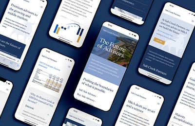 Mobile Website Design for Salt Creek Partners financial website graphic design mobile design website design wordpress