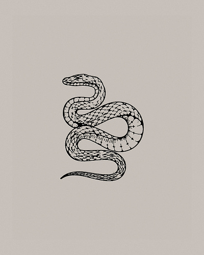 Slithering illustration snake tattoo