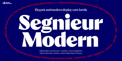 Segnieur Modern brand branding font graphic design identity modern sans typography