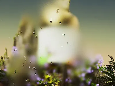 Apiterra: Raw Food Brand 3d brand design branding design food packaging graphic design honey illustration jar label design logo packaging salt tea visual identity