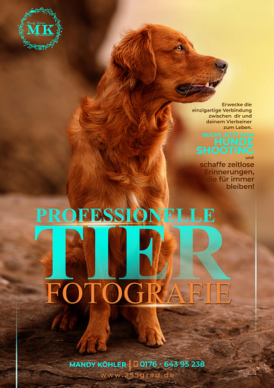 Poster Design branding design graphic design logo logo designing pet photography poster