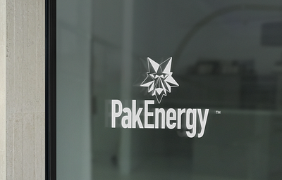 PakEnergy brand branding des design graphic design logo logotipo