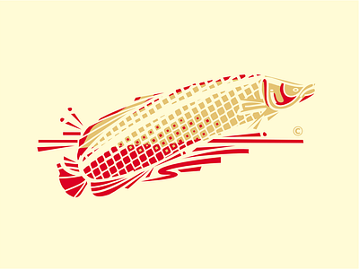 PIRARUCU FISH amazon illustration amazonian fish arapaima for sale pirarucu