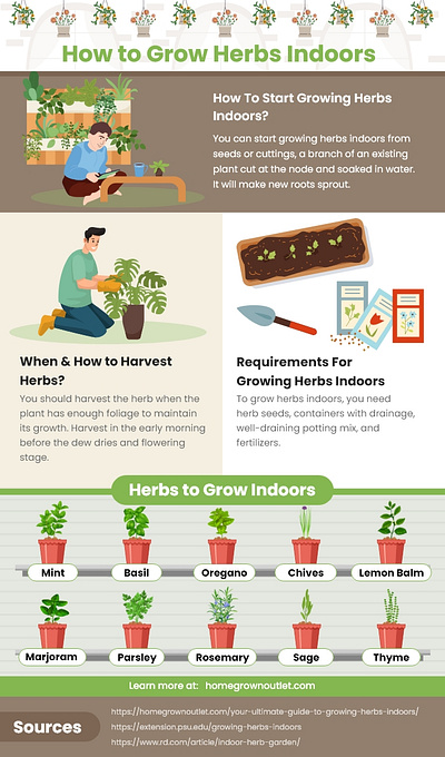 Infographics - Homegrown branding graphic design infographics