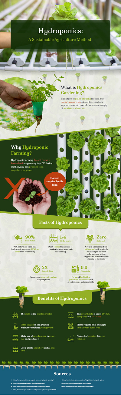 Infographics - Homegrown graphic design infographics