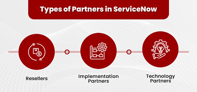Types of Partners in ServiceNow app branding design graphic design illustration