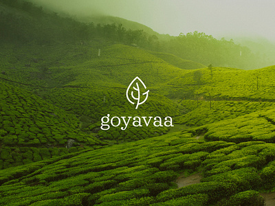 Goyavaa Tea [Logo_Design + Packagings] art direction branding charte graphique corporate identity graphic design graphiste freelance identité de marque identité visuelle key visual leaf leaf logo logo logo design logo designer logotype mockup tea brand tea branding tea logo visuel clé