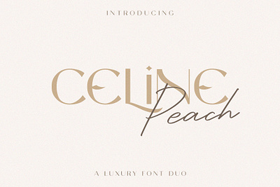 Celine Peach Font - Craft Supply Co brush creative design elegant font illustration lettering logo typeface ui