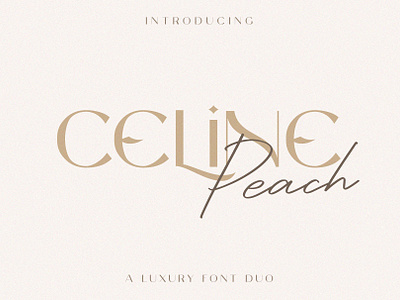 Celine Peach Font - Craft Supply Co brush creative design elegant font illustration lettering logo typeface ui