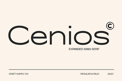 Cenios Font - Craft Supply Co brush creative design elegant font illustration lettering logo typeface ui