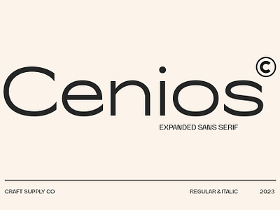 Cenios Font - Craft Supply Co brush creative design elegant font illustration lettering logo typeface ui