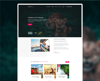 Travel Website beach branding design safari tourist travel web design website