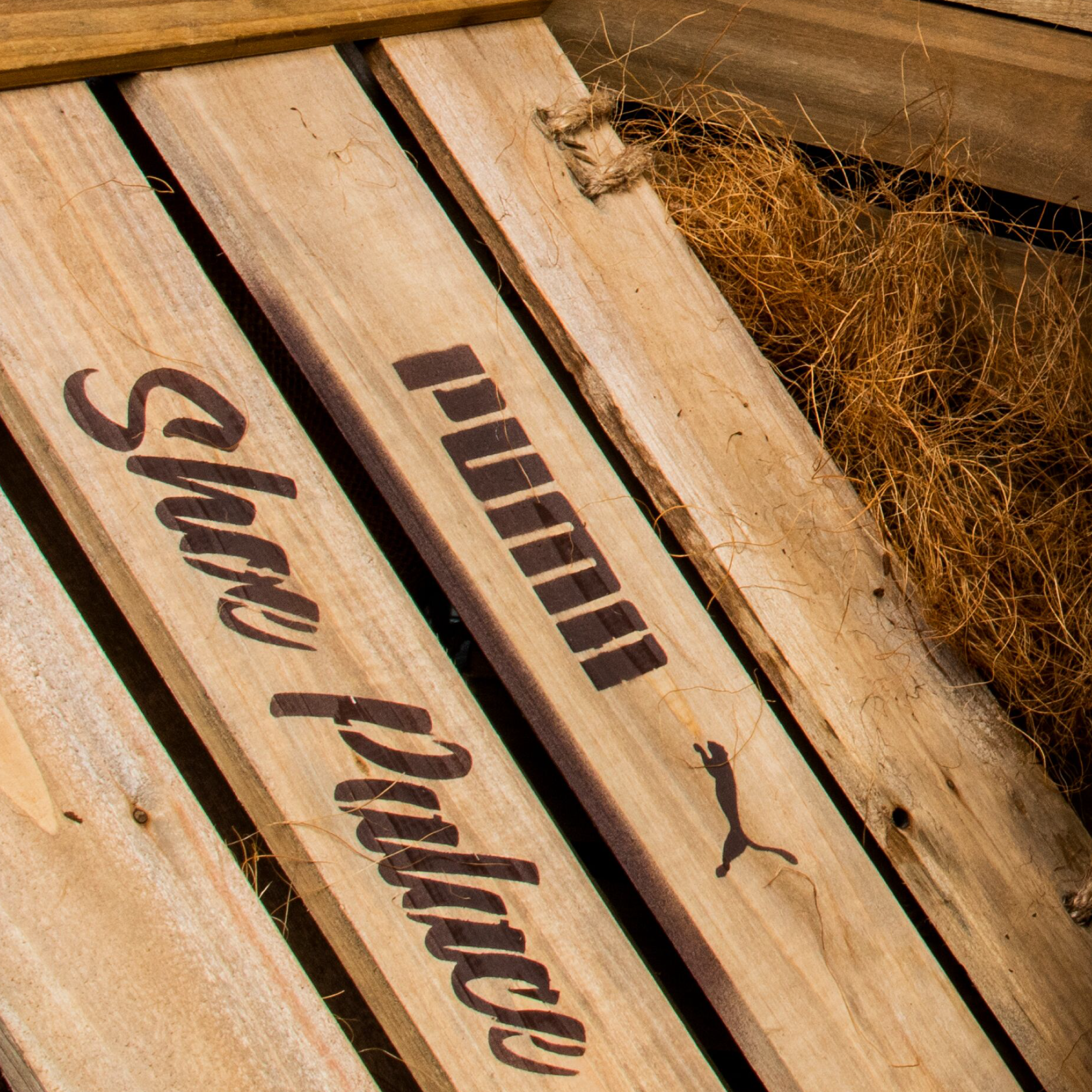 PUMA x Shoe Palace 30th - Shoebox brand branding design graphic design illustration logo military packaging packaging desing puma puma shoes shoe palace shoebox