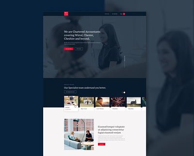 Elegant Accountant Site accountant clean design elegant sophisticated web design website