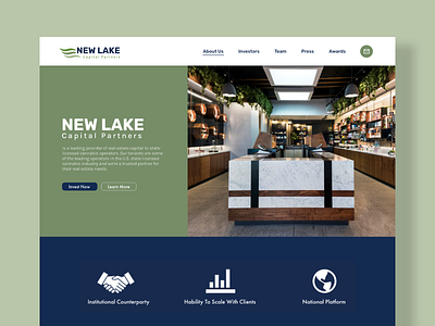 New Lake Proposal Web Design graphic design ui webdesign