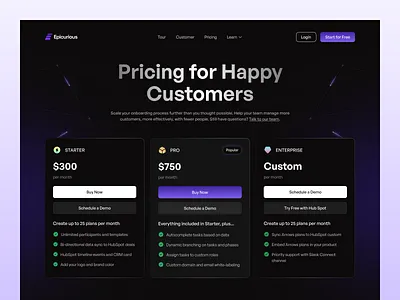 SaaS Pricing page price list pricing page pricing page design product design saas saas pricing page deisgn web page website design