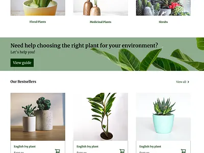 Flowershop Website Design branding design graphic design ui