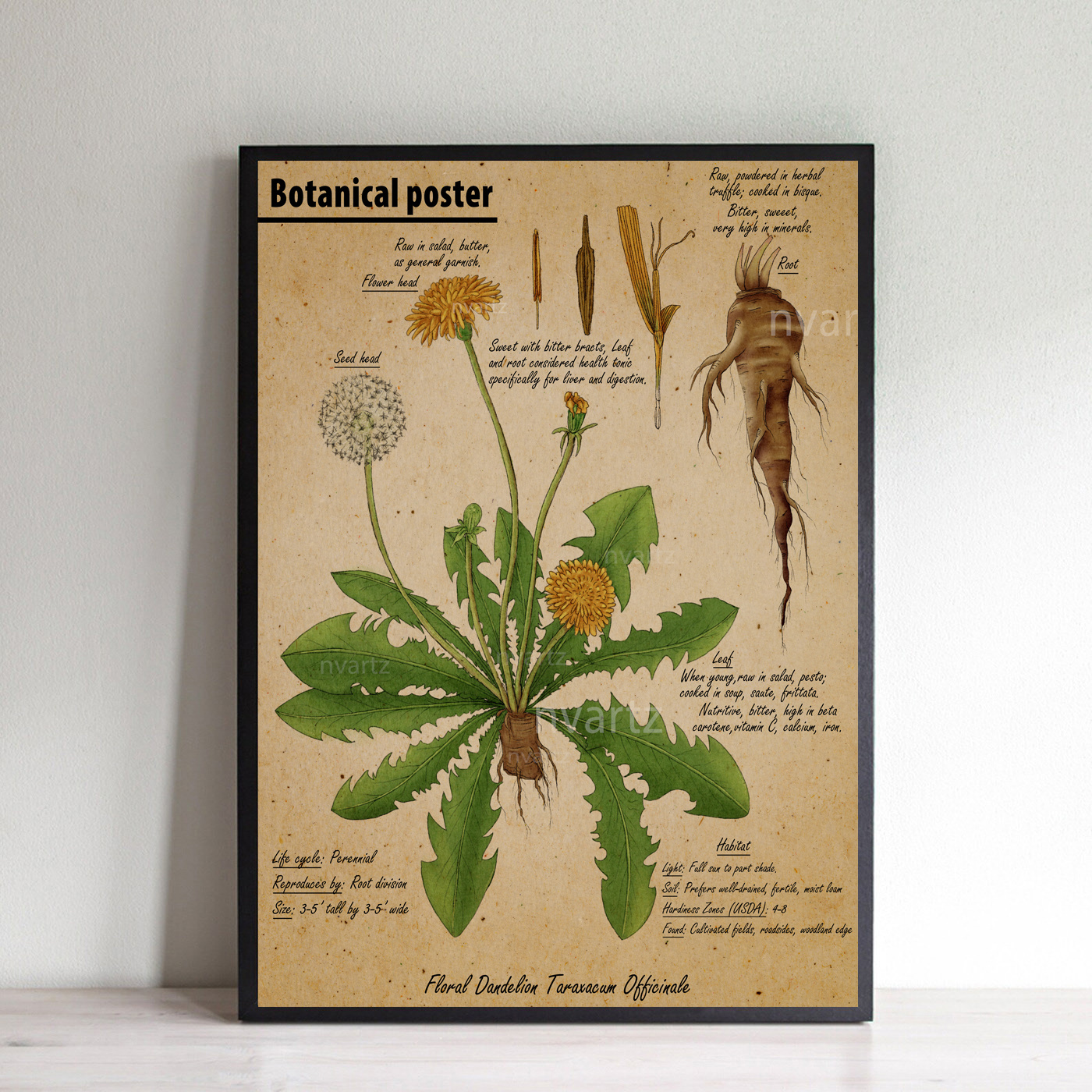 Botanical Knowledge information poster by nvinoth on Dribbble