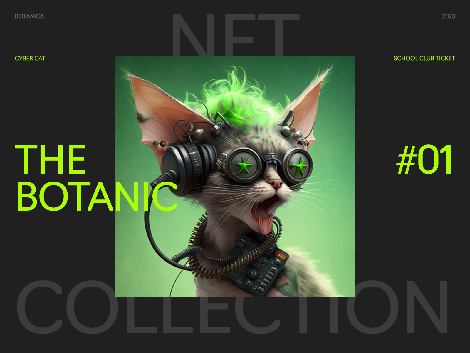 Crypto School. NFT by Nastya Krivets on Dribbble