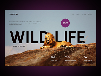 First Screen For A Travel Agency firstscreen ui webdesign woweffect