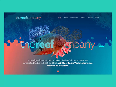 Web & Visual Identity Design for The Reef Company brand identity branding design graphic design logo ocean ocean data reef ui uiux visual identity web web design website website design