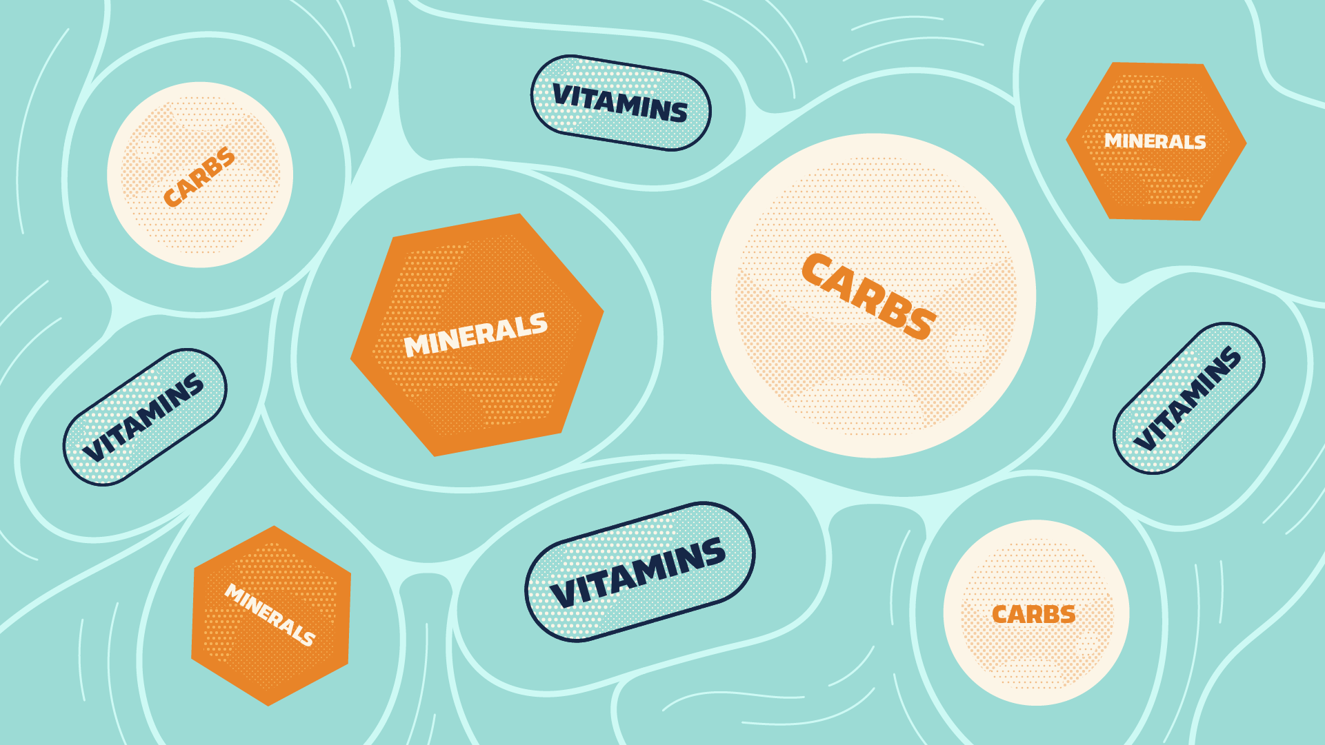 Believer Meats #2 animation branding chicken design illustration logo meat motion graphics nutrients sustainability thelittlelabs
