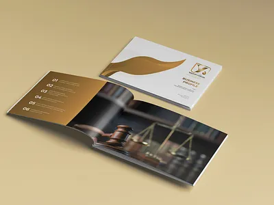 Younis Al-Ameri Business Profile business profile company profile corporate profile indesign profile profile design