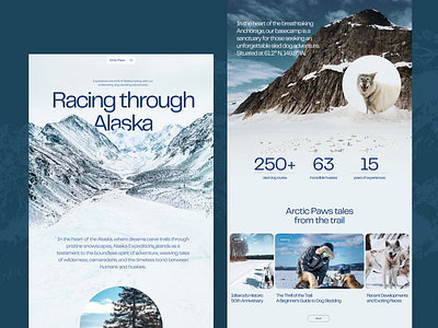 Dog Sledding Website Home Page branding design dog sledding expedition graphic design home page interaction design interface landing page snow ui user experience user interface ux web web design web marketing website website design winter