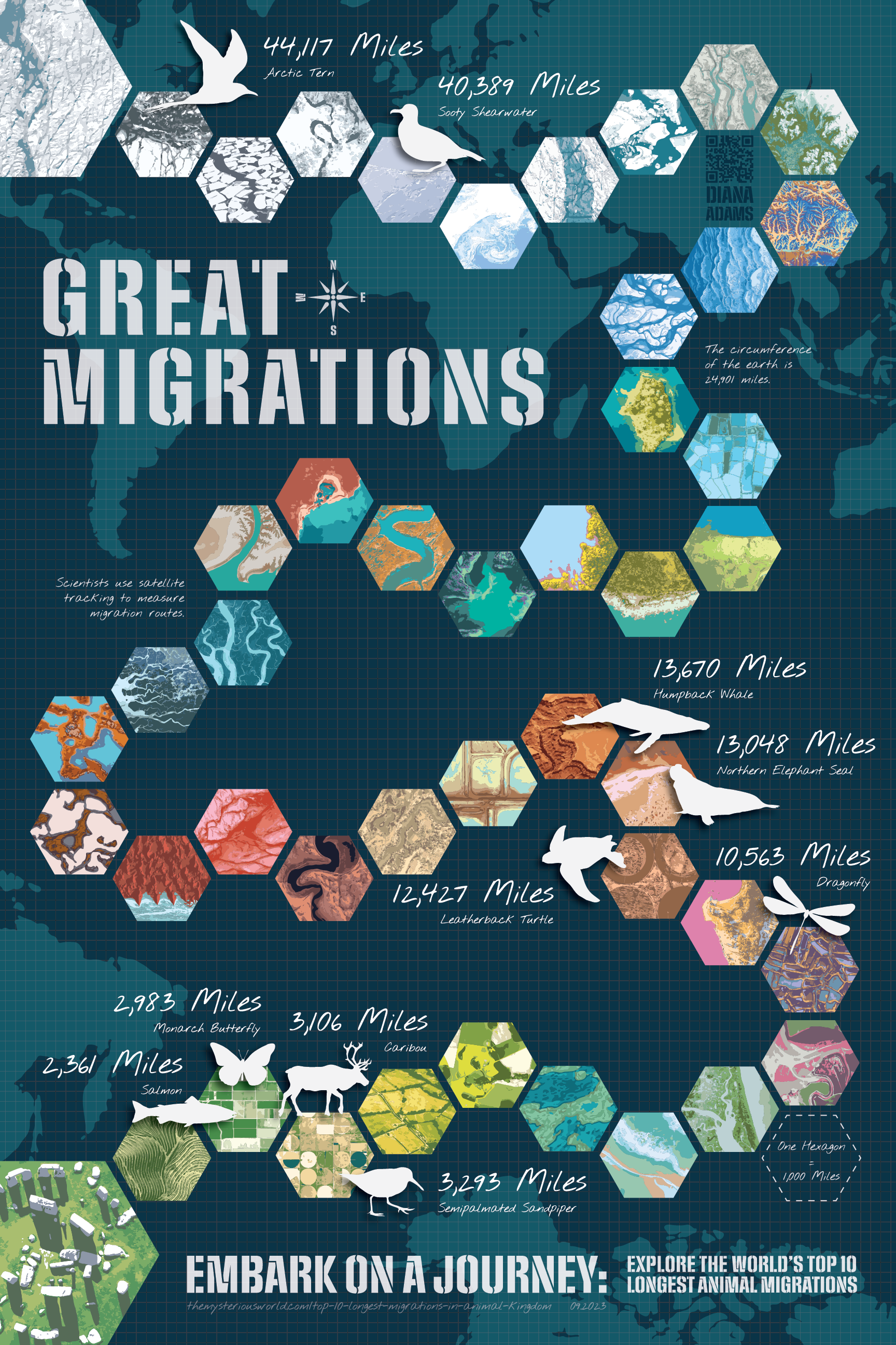 Great Migrations By Diana Adams On Dribbble   Original 1669c74f2f811bb2fc9c56318a67a13f 