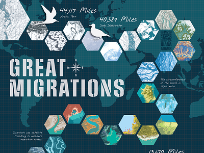 Great Migrations graphic design illustration infographic information design