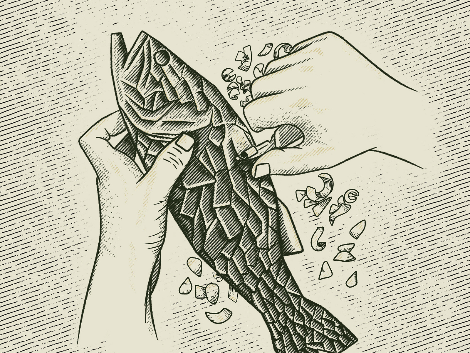 Woodcraft of Appleton, Fish Hand Carving by Jessica Green on Dribbble