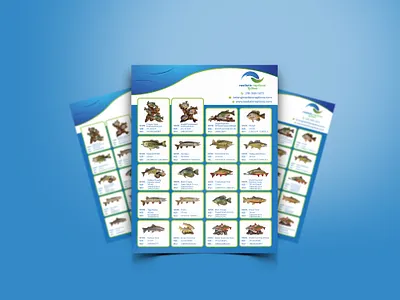 Product Sales Sheet Flyer Design ads brochure business flyer catalog creative flyer digital product flyer flyer design graphic design layout marketing online poster product product catalog sales sell social media post