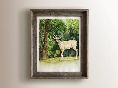 Young Buck Ink and Watercolor Painting black ink browns buck deer forest greenery greens horns leaves nature naturescape oak tans trees vines watercolor white tailed white tailed deer wildlife young